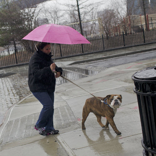 Walking the dog in the rain