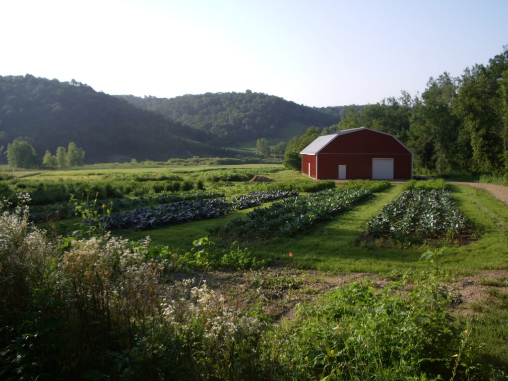 CSA farm