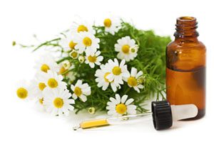 Herbal Medicine: Chamomile