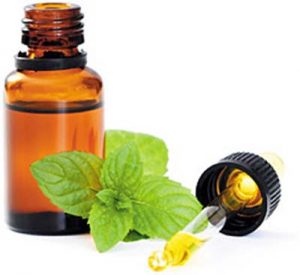 Peppermint Essential Oil1